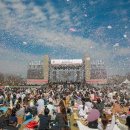 벚꽃플러스 이미지