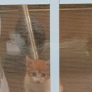 뜰이야기2