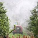 최창호농장 이미지