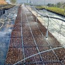 싸리목장 이미지