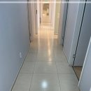 화이트클린 이미지