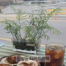구:움 이미지