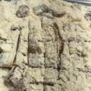 기권농장 | 한식조리기능사 도전記 - 1번째 실기시험 후기(feat. 대전시험장)