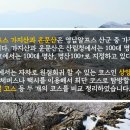 [영남알프스] 가지산/운문산 산행코스 비교영상 이미지