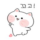 정오개발주 이미지