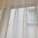 벨로디자인