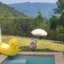 빌라드루이 이미지