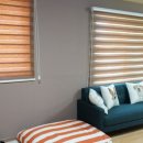 아임버디B 이미지