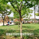 젊음과패기공원1 이미지