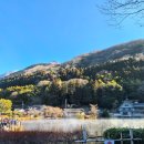 둔매미마을 내 | 3박 4일 후쿠오카 여행 둘째날 후기, 유후인 - 유후다케 - 벳푸 - 히타 마을 버스투어!