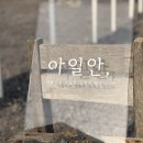 아일안 이미지