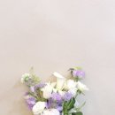 보볼리플라워 이미지
