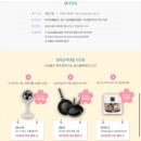 [결혼준비] 삼성 웨딩페어 스드메 예약 후기 삼성스토어 대치