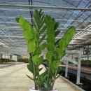 경승농장 이미지