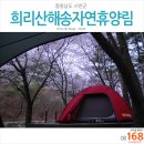 전주송림유치원 | 168회 충남 서천 희리산해송자연휴양림 - 첫 벚꽃 캠핑 [2박3일 캠핑]