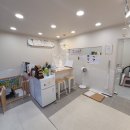 해피그루밍 이미지