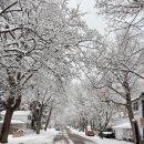 리빙워터(Living water) 이미지