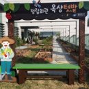 싱싱텃밭