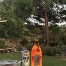 풍덕고택 | [숙소] 내돈내산 수도권 근교 충남 아산 외암민속마을 풍덕고택 솔직 후기 (+강아지 상주)