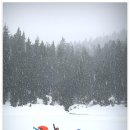 엄마와 아기곰 이미지