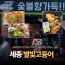 별빛고등어