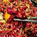 신평5-1 | [구미 신평 맛집] 생곱 신평점 | 한우 곱창전골 · 육회 솔직후기