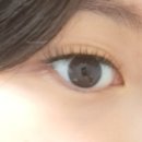 래쉬키미 이미지