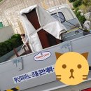 유보라상회 이미지