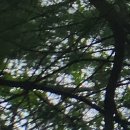 최우식노즈립성형외과의원 이미지