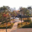 정동근린공원 이미지