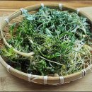 얼레빗