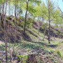 미리내 농장 이미지