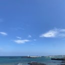 [Day3] 여자혼자 제주도 2박 3일 뚜벅이 여행. 셋째날 기록. 제주도 숨은 명소를 발견하다.