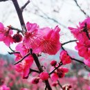 성당시장 이미지