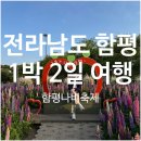 5월 연휴에 8시간 운전해서 간 1박 2일 함평 나비축제 방문기