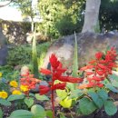 느릅나무민박 | 제주도 독채 민박 촌스테이와 함덕 해변