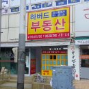 하버드 공인중개사사무소 이미지