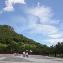 물의 기억 이미지