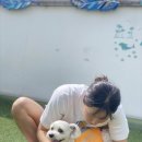 판암유치원 | 대전 루프탑독플러스 🐶