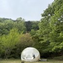 전북가스 | 전북 애견동반 글램핑 추천｜임실 저스트 글램핑 내돈내산 솔직후기 (감성 글램핑 텐트)