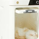 주식회사 페페 이미지