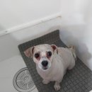 오구오구살롱 이미지