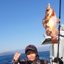 대산크린 이미지