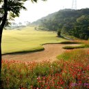 해피니스컨트리클럽(주) 네이버블로그