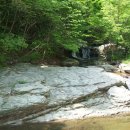 팔영산 자연휴양림 야영장 이미지