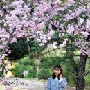 남산3동 행정복지센터 | 대구 라일락: 오가닉모가, 남산3동 행정복지센터, 성모당, 엘라이커피, 수오미엔(대봉동맛집) - 2026...