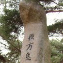 이락사 이미지