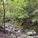 달리아커피 단장면 이미지