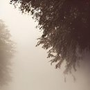 박*상 - 미추홀구 경원대로780번길 22 | 박*상