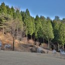 느랭이골자연리조트 이미지